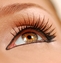 Lashes - Ready To Wear